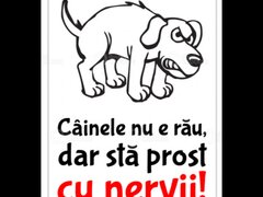 Semn pentru cainele nu e rau dar sta prost cu nervii